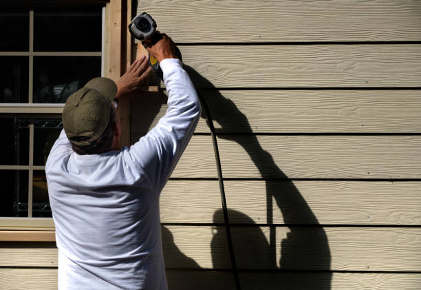 Best Vinyl Siding Installation  in Mancelona, MI